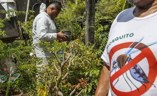 Brasil já tem mais de 3 milhões de casos de dengue em 2024