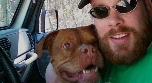 Deputado americano de origem brasileira roubou US$ 3.000 que salvariam vida de cadela