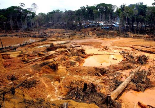 Operação do IMA e BPA descobre desmatamento em Branquinha 