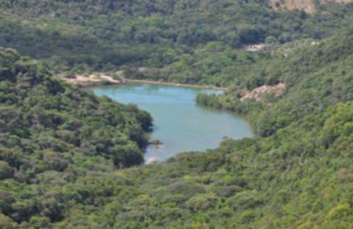 Desmatamento continua sendo o crime ambiental mais praticado em Alagoas 