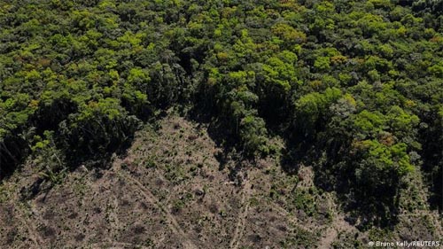 Regiões da Amazônia já atingiram ponto de não retorno, afirma pesquisadora  - Revista Galileu