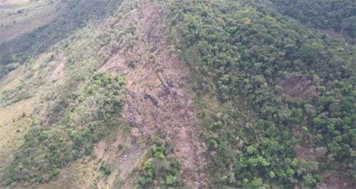 IMA realiza ação de fiscalização contra desmatamento ilegal em União dos Palmares