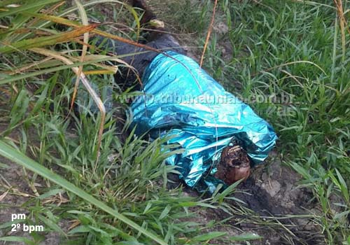 Agricultores encontram outro cadáver em decomposição a três quilômetros da divisa de Alagoas com Pernambuco