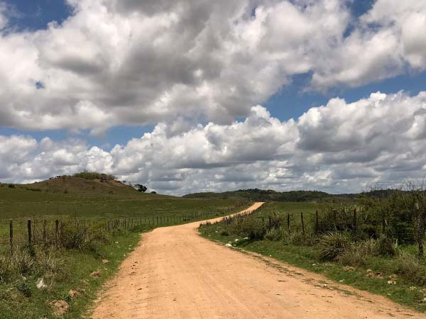 Governo autoriza implantação de rodovia que ligará Murici a Capela na segunda (2)