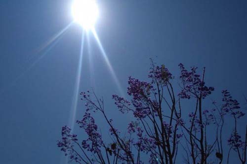 Dezembro Laranja: Câncer de pele é o tipo mais comum de câncer no Brasil