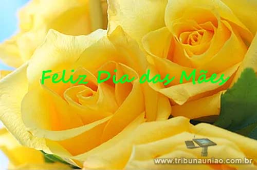 Hoje é 8 de maio... Salve o Dia das Mães