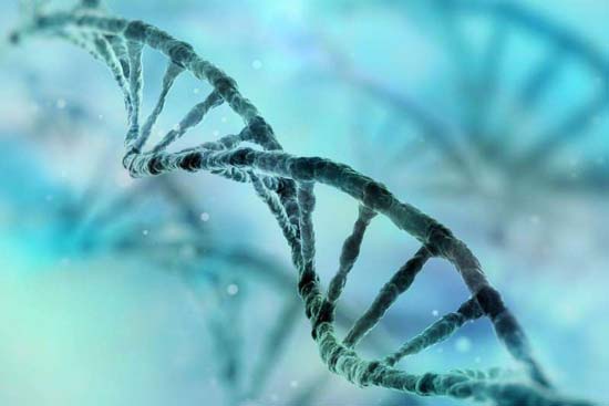 Após decifrar enigma de DNA, cientistas tentam criar tratamentos