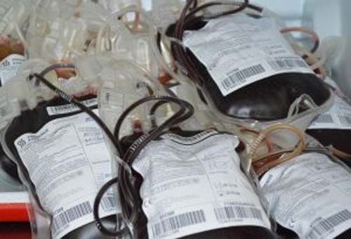 Campanha de Doação de Sangue sorteará abadás para blocos e ingresso para o Camarote Celebration
