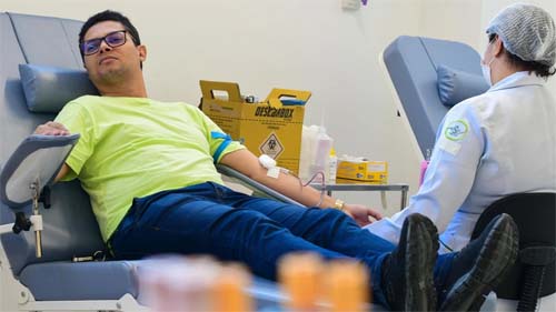 Hemoal Adapta Horários para Captação de Sangue Durante Feriado de Nossa Senhora da Conceição