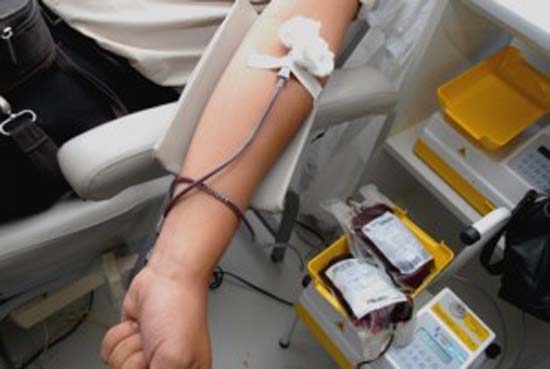 Hemoal e Hemoar prorrogam campanha de doação de sangue para a Páscoa