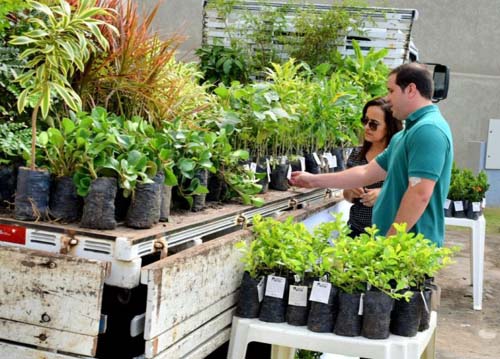 Bienal do Livro terá coleta seletiva e doação de mudas
