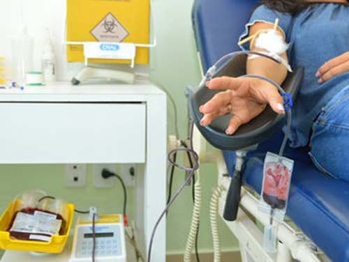 Hemoal Maceió abriu para doação de sangue neste sábado e no feriado da Padroeira