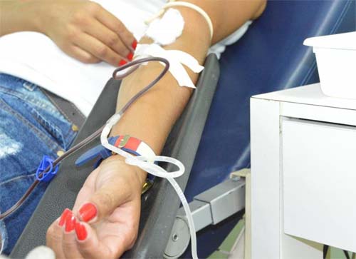 Hemoal mantém atendimento para doações de sangue durante Feriado de São João em Alagoas