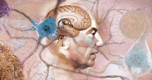 Proteína modificada pode ajudar a entender doenças neurodegenerativas?