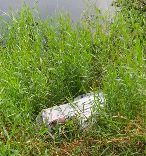 Braços encontrados em casa abandonada são de corpo desovado as margens de lago