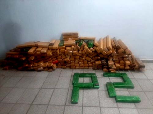4º BPM apreende mais de 270 quilos de maconha em Porto Real do Colégio