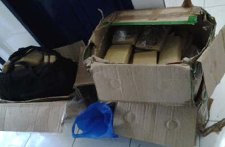 Polícia apreende grande quantidade de maconha no Jacintinho 