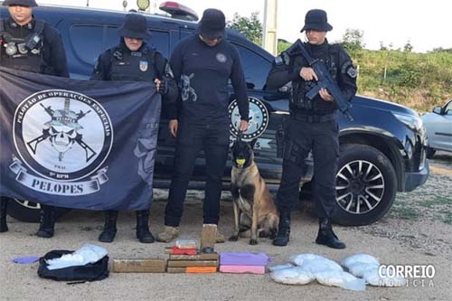 Mulher que levava grande quantidade de drogas em ônibus é presa em Delmiro Gouveia