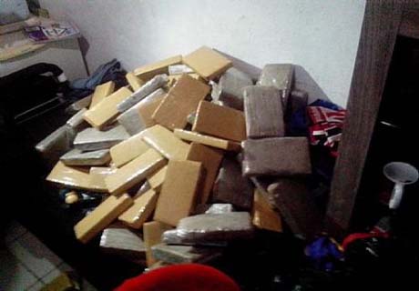Operação do Gecoc apreende 130 quilos de maconha em Maceió e São Brás