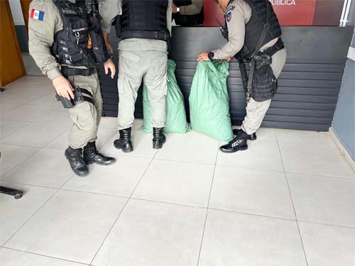 Polícia apreende 20 quilos de maconha no trevo de Joaquim Gomes,