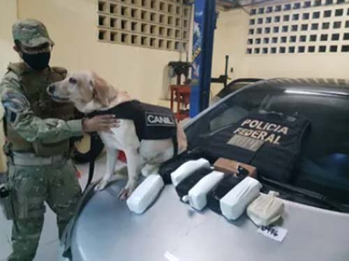 Polícia prende mulher que transportava 10 KG de cocaína dentro de carro em AL