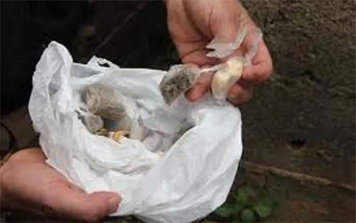 Drogas que seriam vendidas na Praia de Pipa, no RN, são apreendidas em Maceió; suspeito foi preso