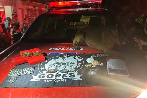 Líder de Facção Criminosa Detido em Alagoas com Grande Quantidade de Drogas