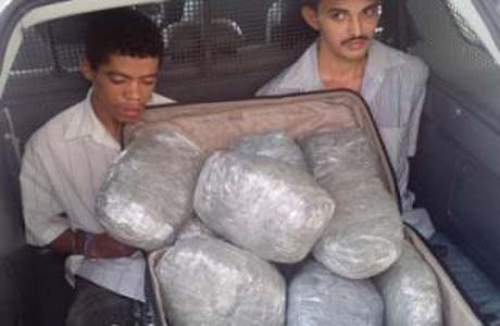 PM apreende mais de 10 quilos de maconha em Canapi