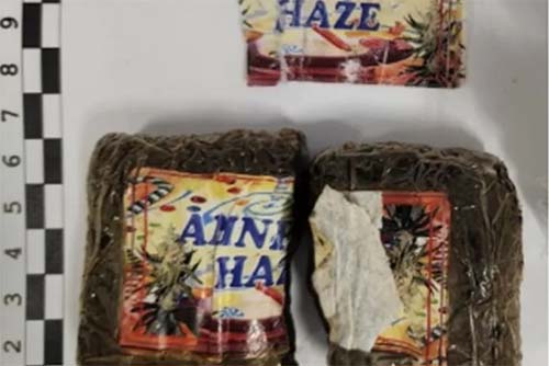 Polícia Federal deflagra operação após drogas serem enviadas pelos Correios em Maceió