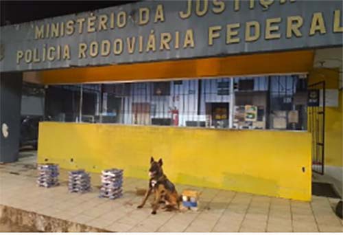Droga que vinha do Paraná foi interceptada pela PF em São Miguel dos Campos-AL