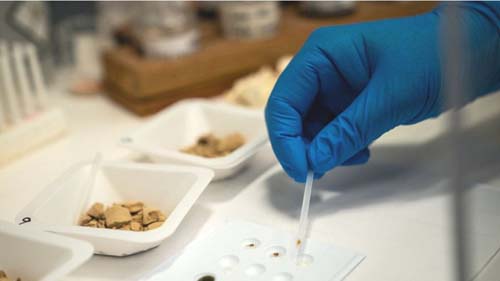 EUA registram recorde de mortes por overdose: o que explica isso, segundo especialistas