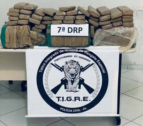 Drogas avaliadas em aproximadamente 300 mil reais são apreendidas em ilha próxima a Penedo