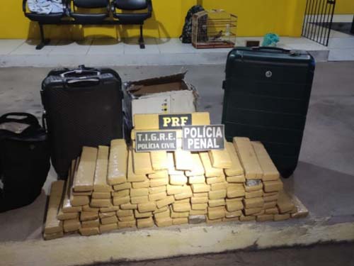 Polícia apreende mais de 80kg de droga durante abordagem a ônibus em São Sebastião