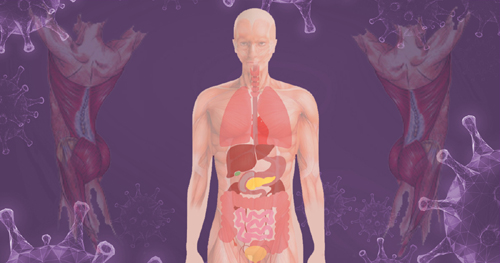 Exercício físico pode ser um aliado para tratar a fraqueza muscular pós-covid