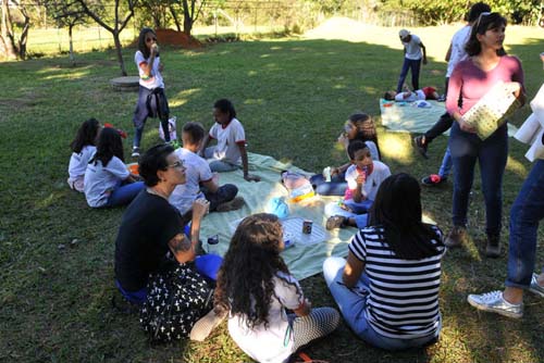 Projeto de educação ambiental do Greenpeace leva a floresta para a sala de aula