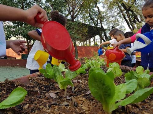 Você sabe o que é educação integral?