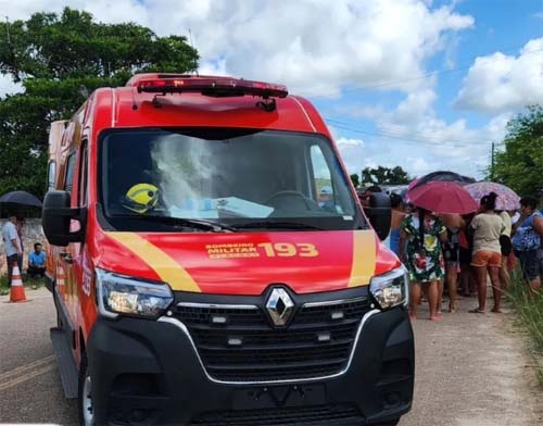 Égua entra em trabalho de parto dentro de juizado, no interior de Alagoas