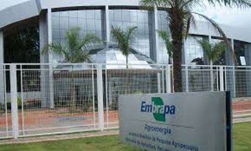 Embrapa abre inscrições em 24 cursos gratuitos online em fevereiro de 2021  