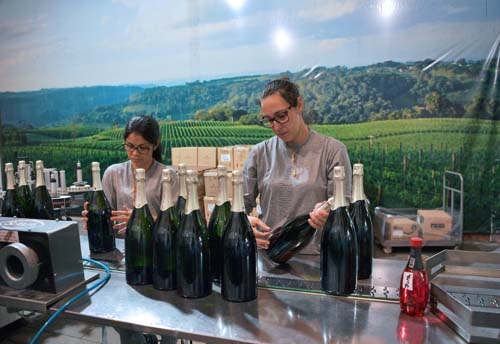 Festas de fim de ano e trabalho por conta própria reduzem desemprego no Brasil