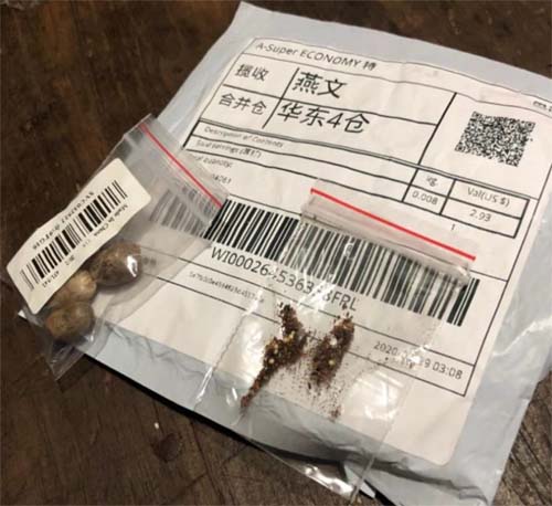 Brasileiros recebem sementes misteriosas da China junto a compras online