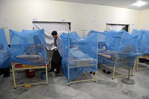 Pesquisadores brasileiros encontram relação entre a dengue e a covid-19; entenda