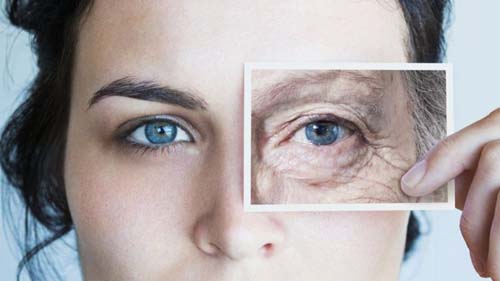Envelhecer é uma doença que pode ser curada, diz cientista de Harvard