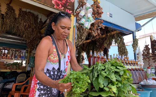 Erveiros 'vendem' cura em preparos para banhos e garrafadas