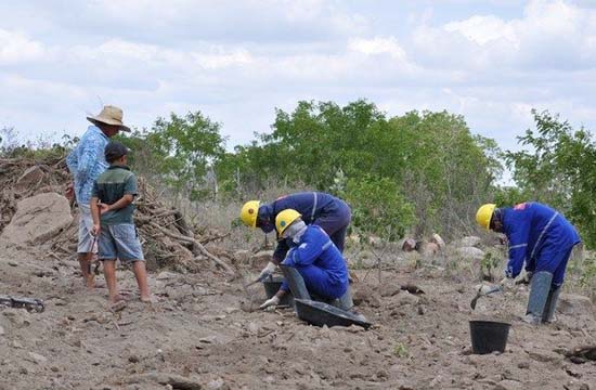 Alagoas é importante estado para revelar fósseis pré-históricos