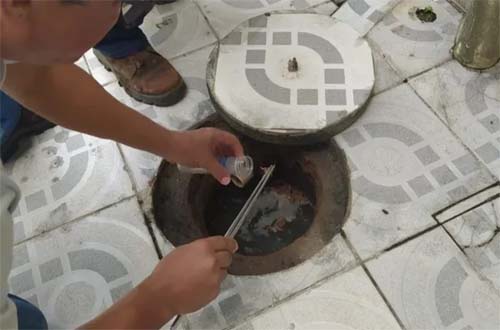 Maceió Registra Crescente Número de Picadas de Escorpião em 2025