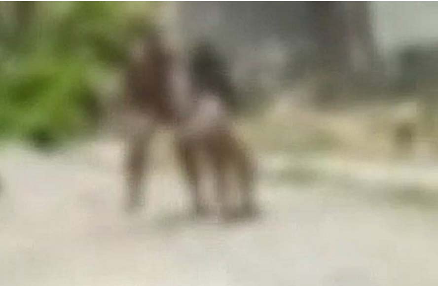 Espancamento de mulher choca Marechal Deodoro