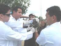 Municipios