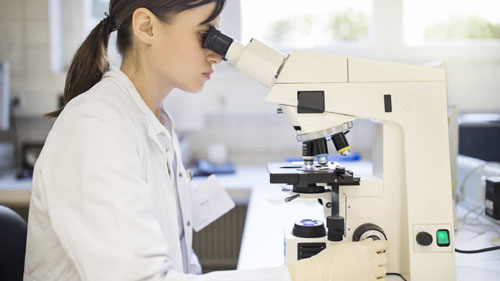 Estudo alerta para urgência de novos tratamentos contra verminoses