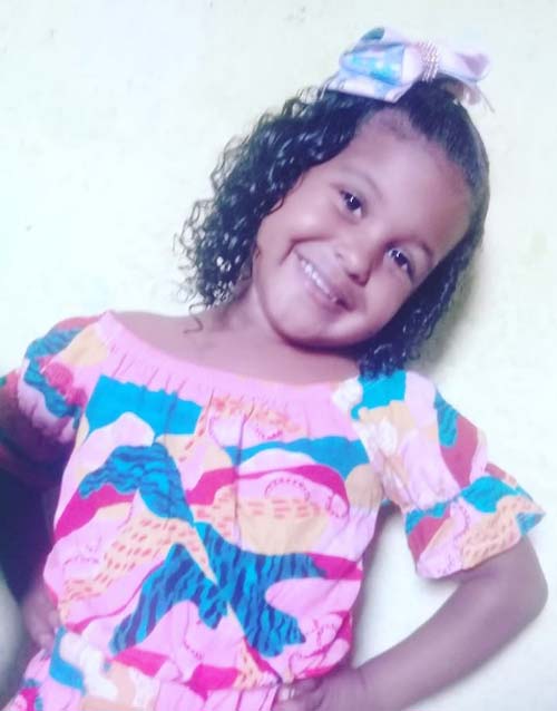 Menina de 4 anos morre após cair em cratera na cidade de Murici