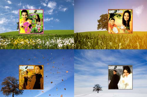 No início da primavera, entenda como se formam as quatro estações